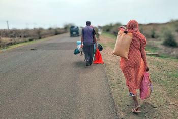 Families flee Sinja, southern Sudan, following violent clashes.