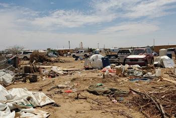 Damaged settlements and infrastructure in the aftermath of a severe windstorm in Yemen.