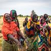 Women in Djoukoulkili, Chad, work to prevent land loss.