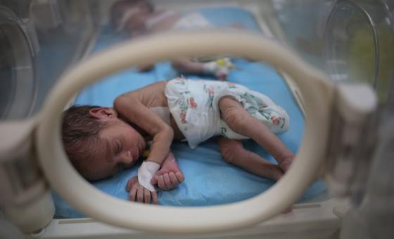 On 5 March 2024, UNICEF and partners delivered 23 incubators to hospitals in Rafah, south of the  Gaza Strip.