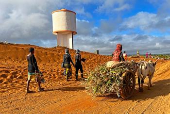 Sand is driven by seasonal winds inland in southern Madagascar.