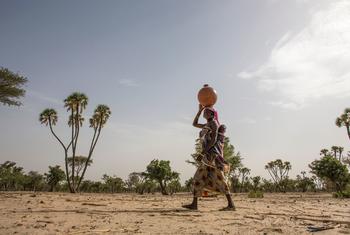 A woman carries a baby and a water container as she walks across arid land in Niger.