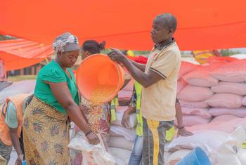 Food assistance is distributed to displaced people in the eastern DR Congo.