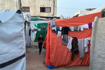 Les habitants de Gaza continuent de fuir leurs maisons et de s'abriter sous des tentes.