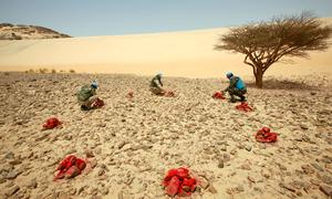 Sur le site de l'équipe de Mijek de la Mission des Nations Unies pour l'organisation d'un référendum au Sahara occidental (MINURSO), des officiers de liaison militaire marquent des pierres dans le cadre d'une formation pratique.