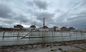 The Zaporizhzhya Nuclear Power Plant in Ukraine. (file photo)