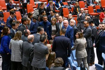 Security Council members and delegates huddle for a discussion after emerging from closed consultations following a meeting on the situation in the Middle East in December 2023. (file)