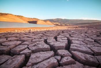 Climate change is contributing to drought conditions across the world.