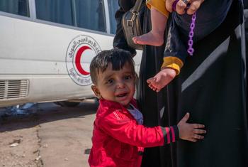 A young boy and his family arrive at the Syrian border after fleeing Beirut.