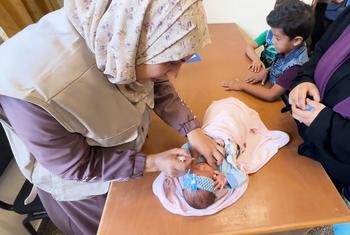 Un nourrisson est vacciné contre la polio dans une clinique de l'UNRWA dans le camp d'Al-Nuseirat, au centre de la bande de Gaza.