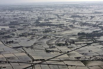 An aerial view of the Ayeyarwady delta region, in Myanmar, on the shores of the Andaman Sea, after being hit by cyclone damage (file photo).