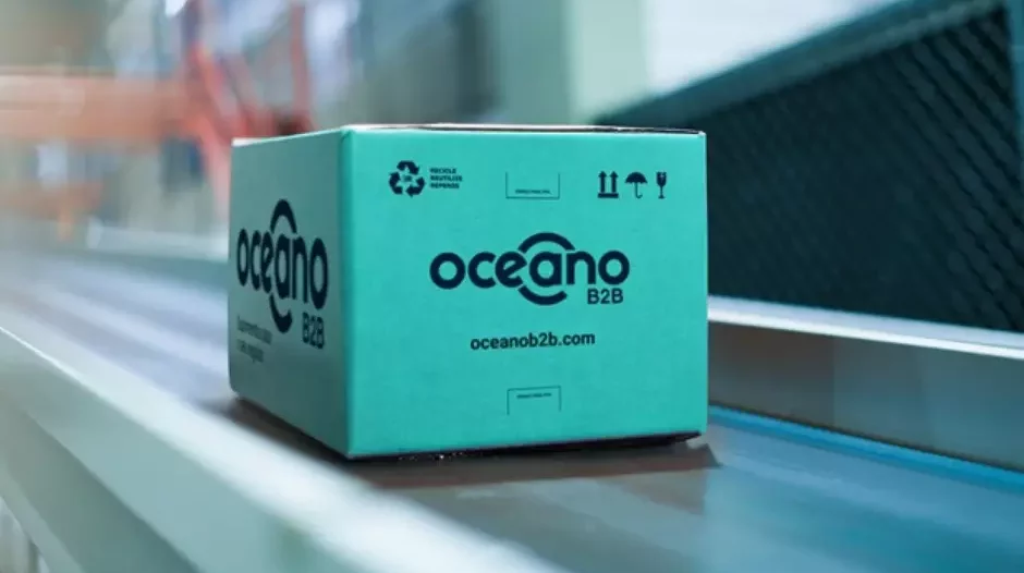 Ecommerce: Oceano B2B