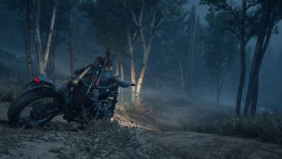 days gone – captură de ecran pe pc