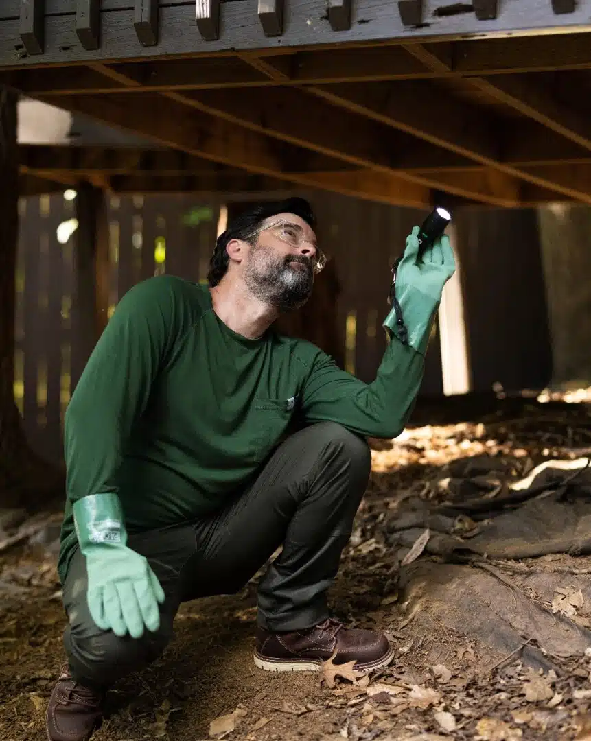 Aptive pest control specialist wearing gloves and holding a flashlight inspects the underside of a wooden structure.