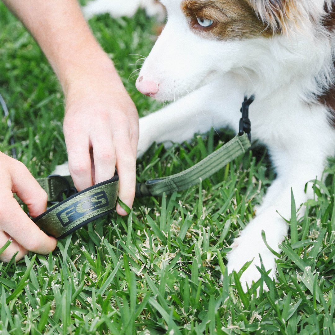 FCS Dog Leash