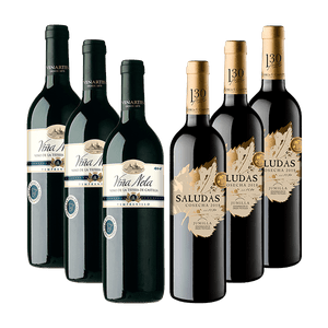 Kit 6 Vinhos Espanhóis Saludas e Viña Nela