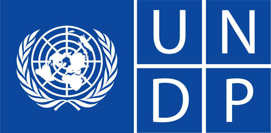 UNDP