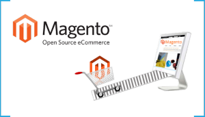 5 Fundamental Parts of Setting up an Online Business Site with Magento