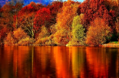 Free Autumn Wallpaper