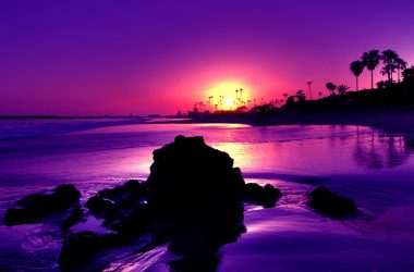 Stunning Purple Beach