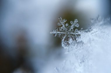 Widescreen Winter Wallpaper