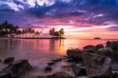 Widescreen natural Beach Background