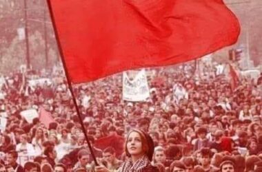 Widescreen ANP Flag