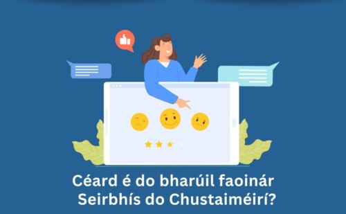 HEA  Suirbhé Maidir Le Seirbhís Do Chustaiméirí / HEA Customer Service Survey