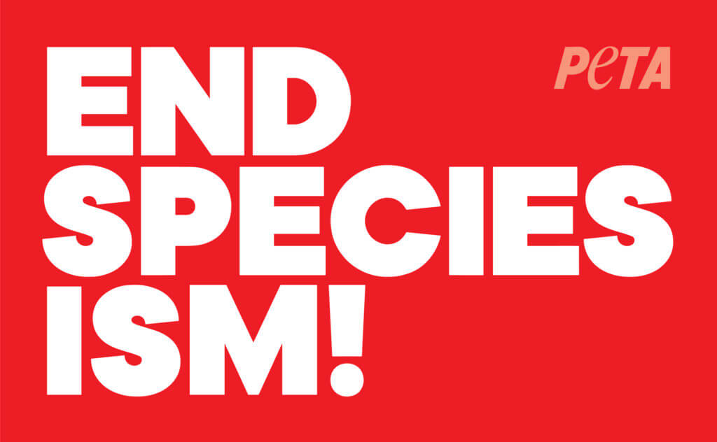 https://headlines.peta.org/wp-content/uploads/2019/07/END_SPECIESISM_LOGO_RED_PETA_VERSION-1024x632.jpg