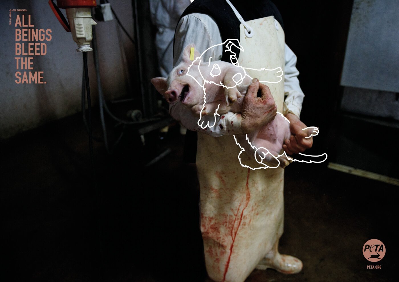 https://headlines.peta.org/wp-content/uploads/2019/07/VEG-All-beings-bleed-the-same-pig-hands-held-COI.jpg