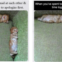 Two memes of kittens on their backs in the corner of a couch, one with the text "When you both mad at each other & waiting for one to apologize first" and the other with "When you've spent too much quarantine time together."