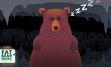 Bear hibernation is a superpower, but it comes with a cost