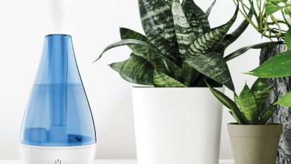 cool mist humidifier pushing out wet air in front of a plant