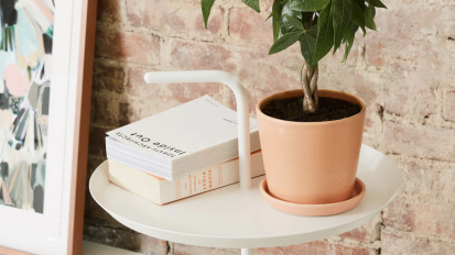 The Sill's Money Tree plant standing on a side table in a nicely decorated room