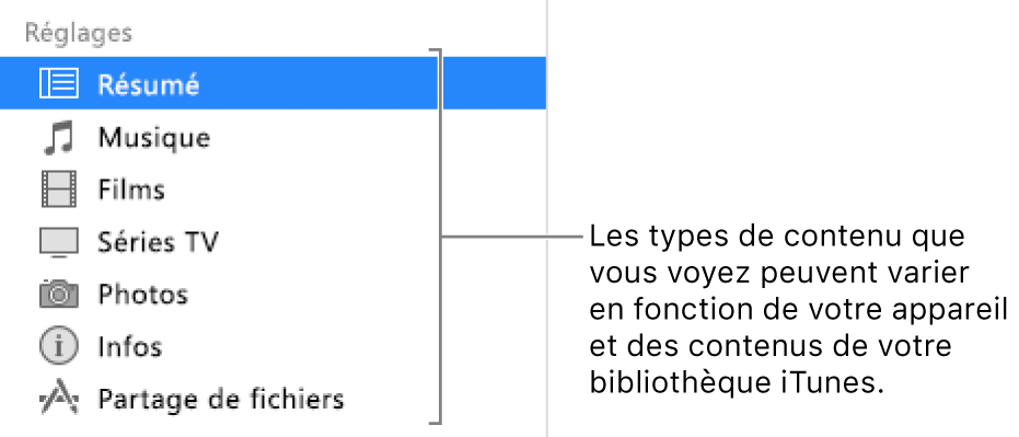 L’option Résumé est sélectionnée dans la barre latérale à gauche. Les types de contenu qui s’affichent peuvent varier en fonction de votre appareil et des contenus de votre bibliothèque iTunes.