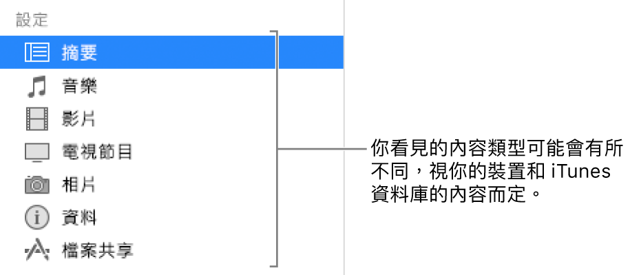 在左側側邊欄選取的摘要。顯示的內容類型可能會不同，視乎你的裝置和 iTunes 資料庫中的內容而定。