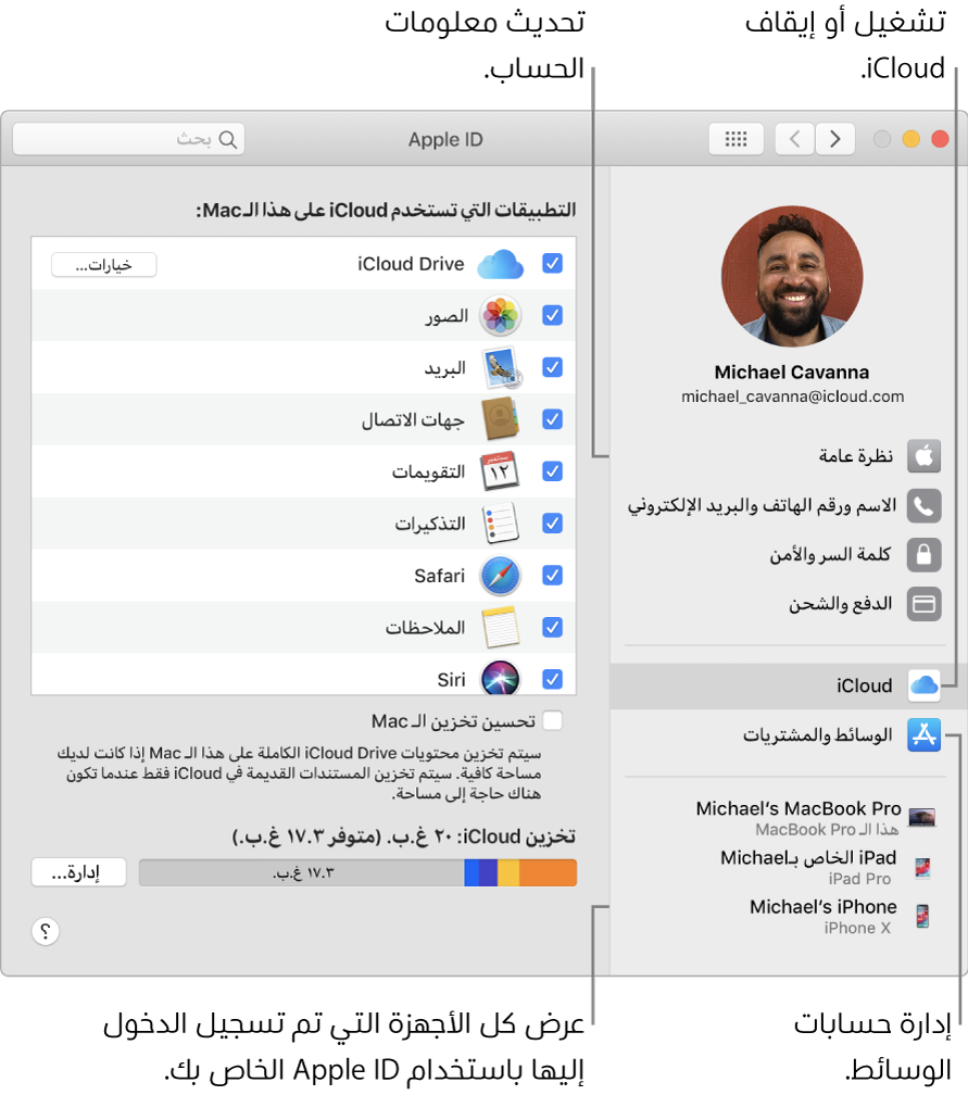 جزء Apple ID في تفضيلات النظام. انقر على عنصر في الشريط الجانبي لتحديث معلومات حسابك وتشغيل iCloud أو إيقافه أو إدارة حسابات الوسائط أو عرض جميع الأجهزة التي سجلت الدخول عليها باستخدام Apple ID.