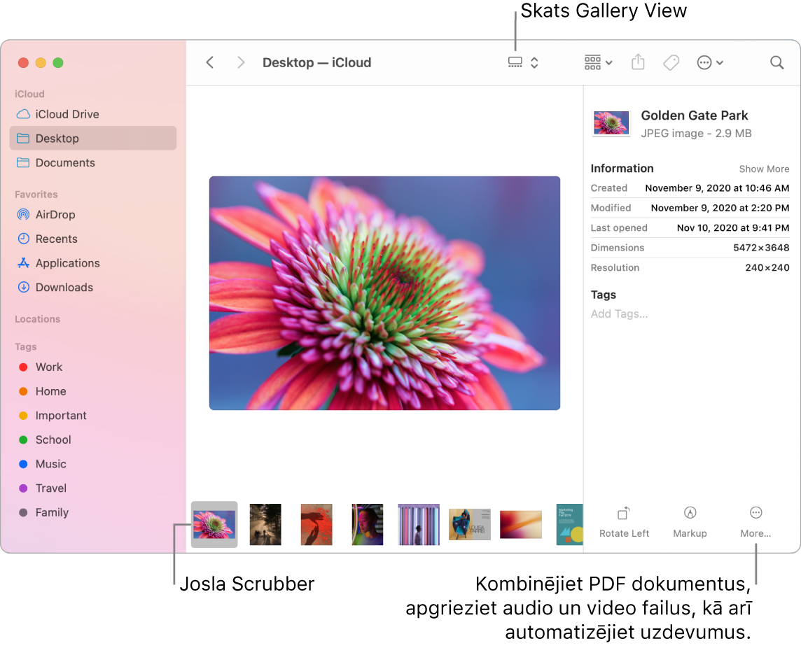 Atvērts lietotnes Finder logs skatā Gallery View, kurā redzams liels fotoattēls ar rindu mazāku attēlu — skrubera joslu — apakšā. Skrubera joslas labajā pusē ir vadīklas pagriešanai, atzīmēšanai u.c.