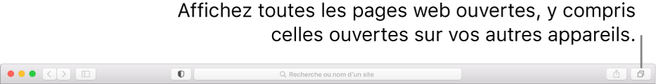 La barre d’outils avec le bouton « Afficher l’aperçu des onglets ».