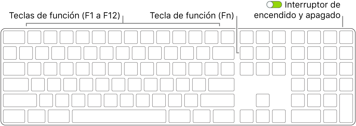 Teclado Magic Keyboard de mostrando la tecla de función (Fn) en la esquina inferior izquierda y el botón de encendido/apagado en la esquina superior derecha del teclado.