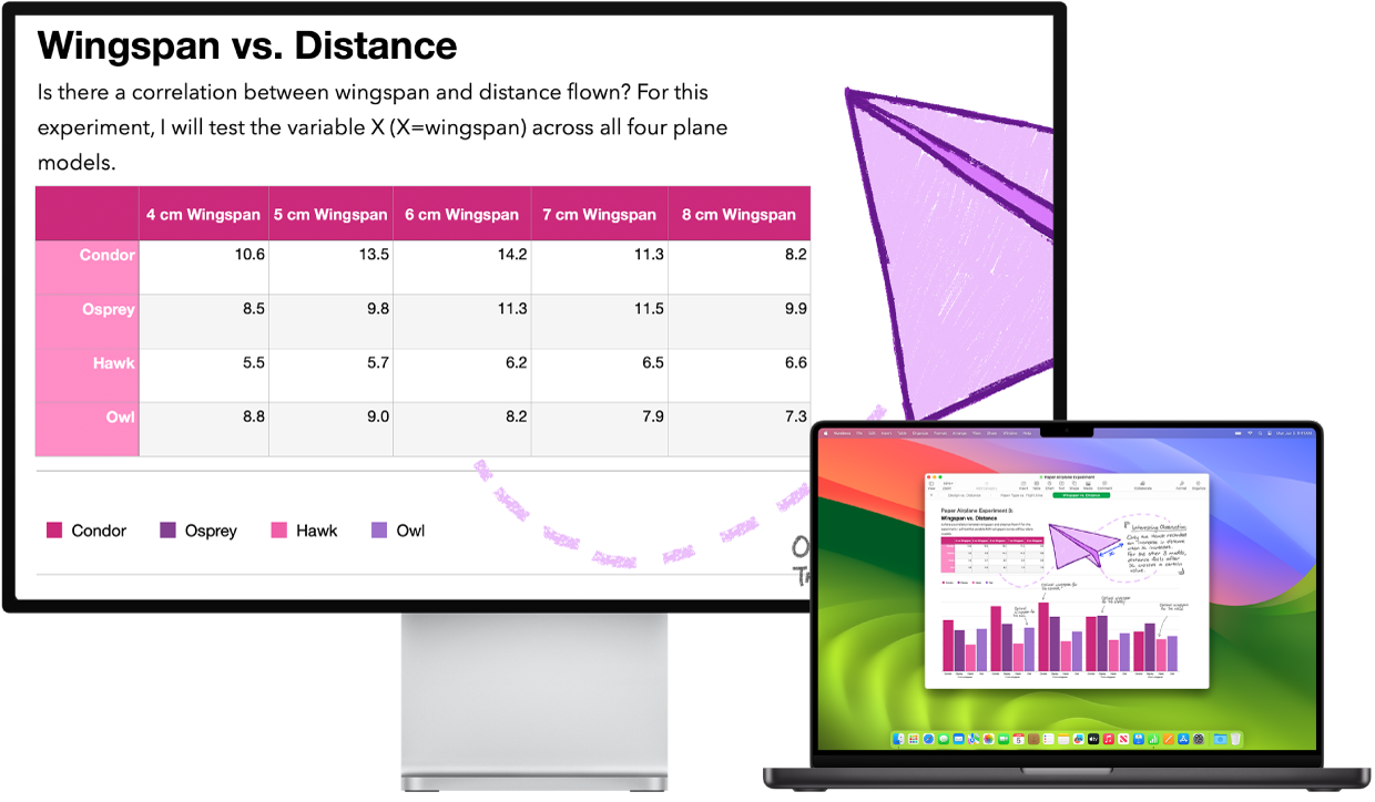 Zoom is active on the desktop screen, while the screen size stays fixed on MacBook Pro.