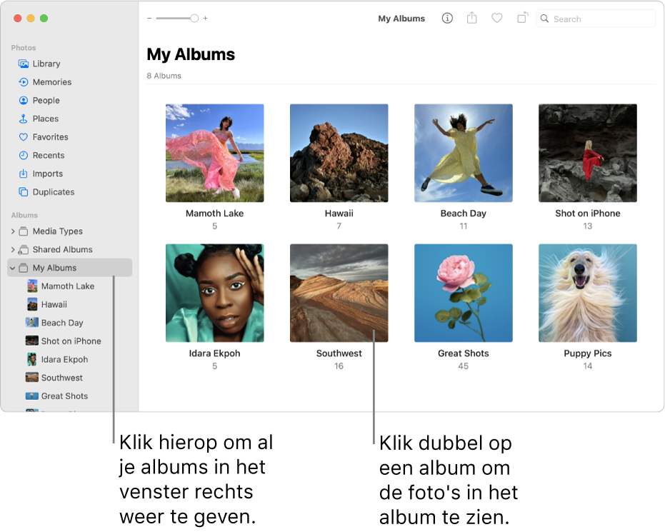 Het Foto's-venster met 'Mijn albums' geselecteerd in de navigatiekolom en albums aan de rechterkant.