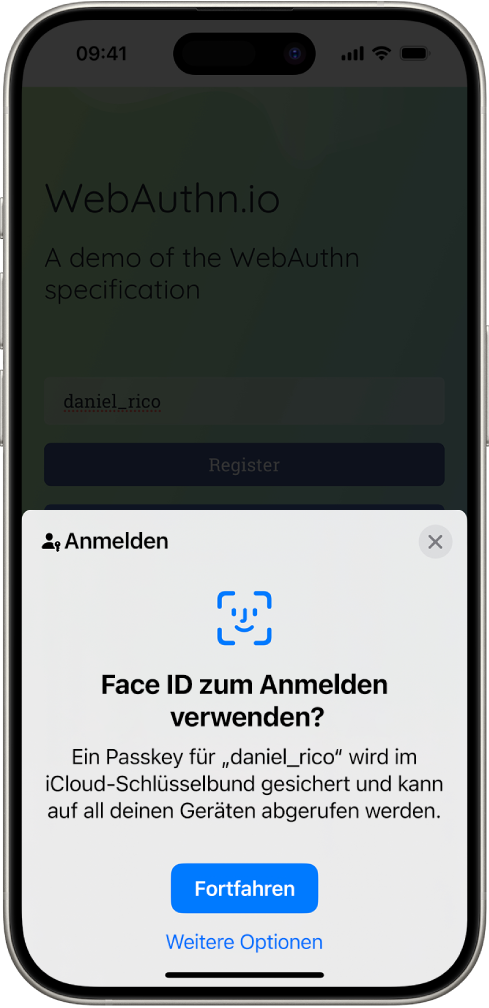 Ein Anmeldebildschirm, der beim Sichern eines Passkeys für den Account angezeigt wird. Die Tasten „Fortfahren“ und „Weitere Optionen“ befinden sich unten auf dem Bildschirm.