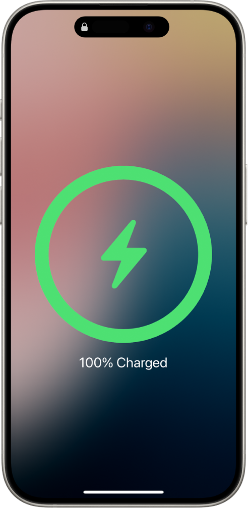 An iPhone screen showing the battery charged 100%.