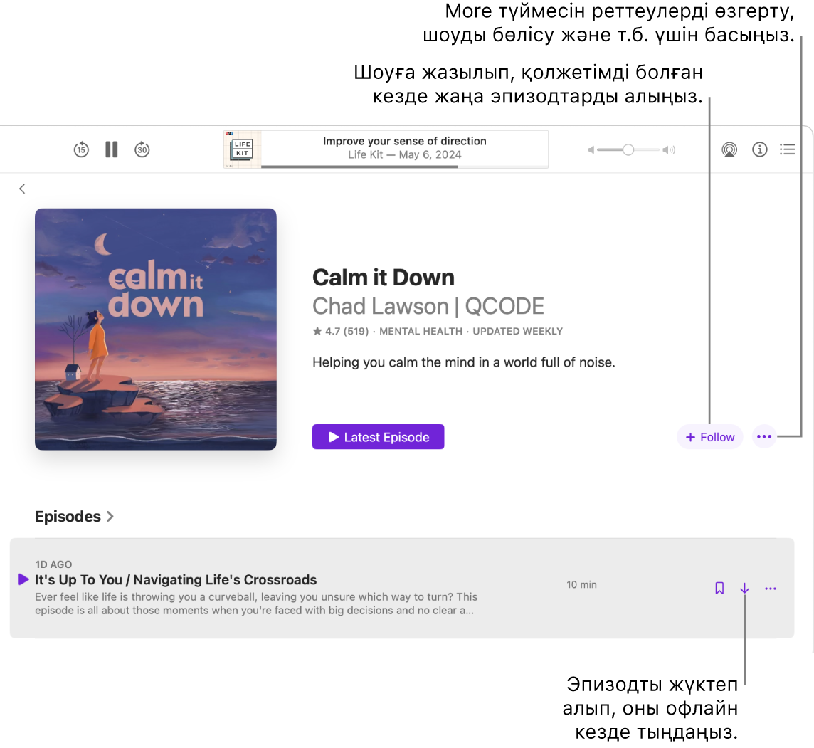 Подкаст эпизодын көрсетіп тұрған Podcasts терезесі. Тілше деректер Download, Follow және More түймелерін көрсетеді.