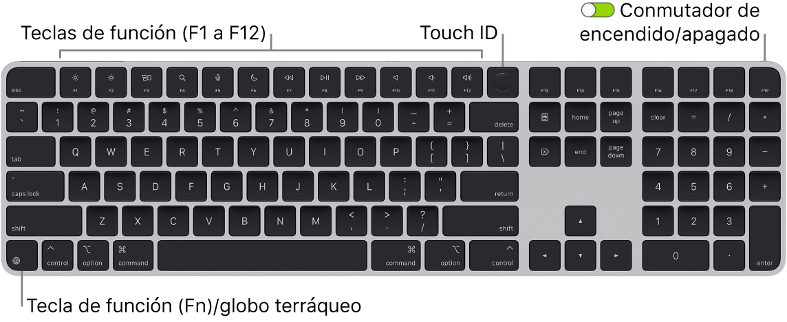 Magic Keyboard con Touch ID y teclado numérico, con la fila de teclas de función y Touch ID en la parte superior, y la tecla del globo terráqueo o función (Fn) en la parte inferior izquierda.