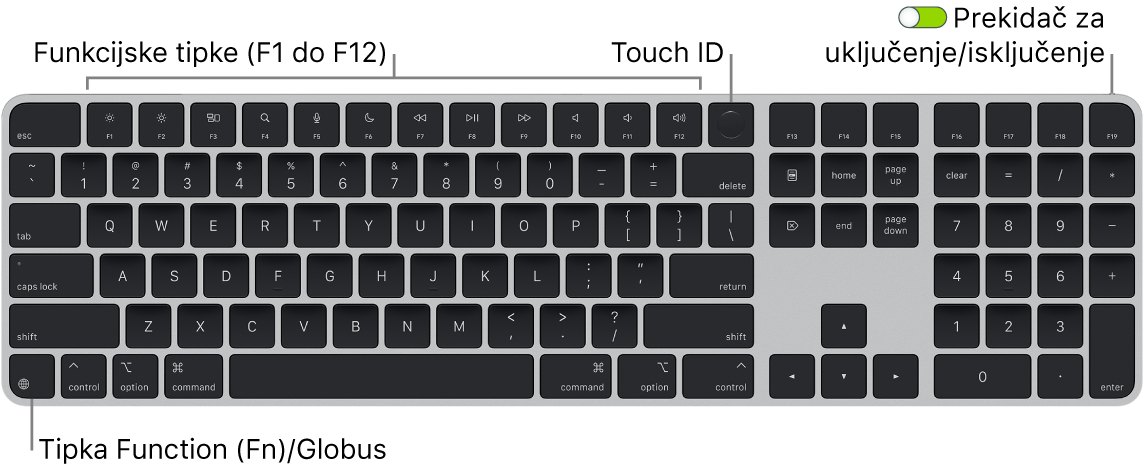 Magic Keyboard s Touch ID-jem i numeričkom tipkovnicom na kojem se vidi red funkcijskih tipki i Touch ID na vrhu i tipka Funkcija (Fn)/Globus u donjem lijevom dijelu.