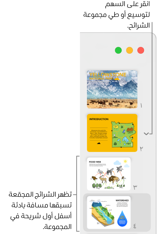 متصفح الشرائح يعرض شرائح مُزاحة.