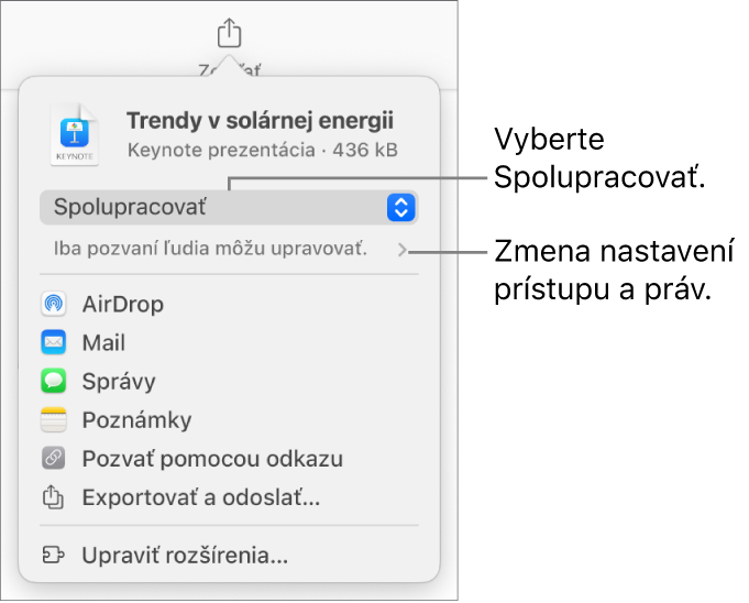 Menu Zdieľať s vybranou možnosťou Spolupracovať navrchu a pod ňou sa nachádzajú nastavenia prístupu a povolení.