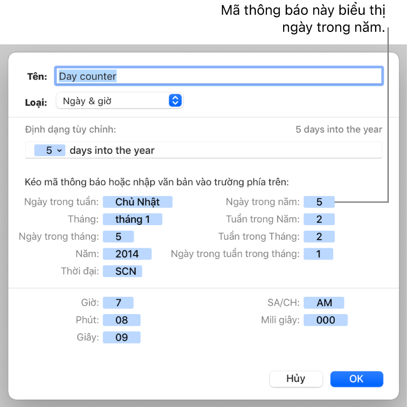 Cửa sổ định dạng ô tùy chỉnh với các điều khiển để tạo định dạng ngày và giờ tùy chỉnh.